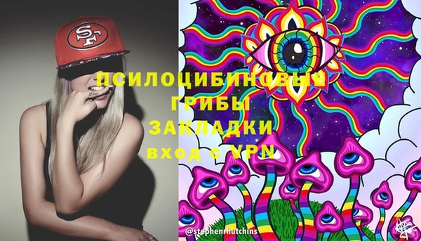 дмт Алексеевка