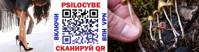 Купить  Топки  Псилоцибиновые грибы Magic Shrooms 